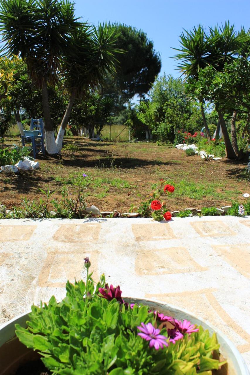 Olyna'S Apartment N.S Preveza Nea Sampsounta Kültér fotó